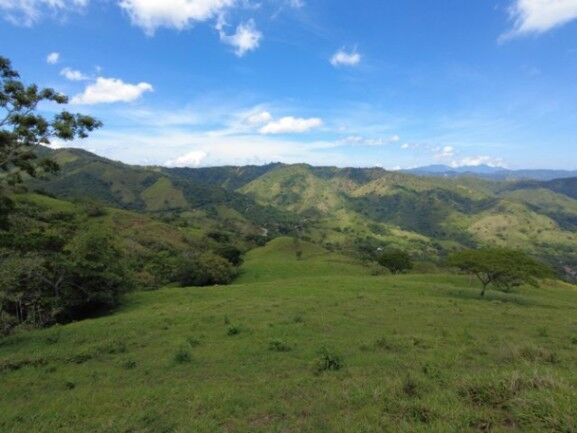 MLS-23-3180 VENTA FINCA MORA SAN JOSE in Colón, Mora, San José — $9,100,000