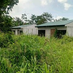 Excelente Terreno en La Fortuna en La Fortuna, San Carlos, Alajuela — 80 000 000 ₡ - Foto 5 de 8