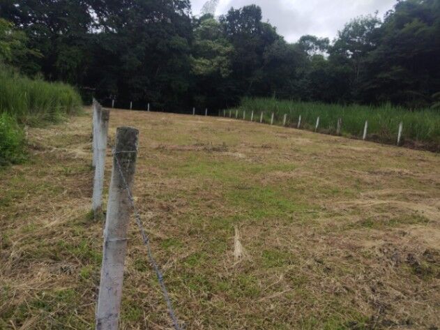 SE VENDE BELLA Y CÉNTRICA PROPIEDAD EN ATENAS.  en Atenas, Alajuela — ₡ 136 000 000