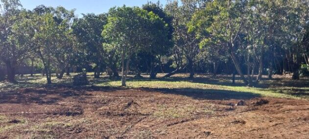 Terreno en Concepcion de San Rafael, 3,500 mtrs2 in Concepción, San Rafael, Heredia — ₡ 175 000 000