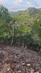 SE VENDE BELLA FINCA EN SANTIAGO, SAN RAMÓN.  en Santiago, San Ramón, Alajuela — $240,000 - Foto 5 de 12