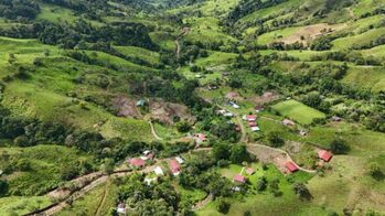 Finca de 56 hectares en San Marcos de Baru, Perez Zeledon. en Barú, Pérez Zeledón, San José — $699,999 - Foto 5 de 10