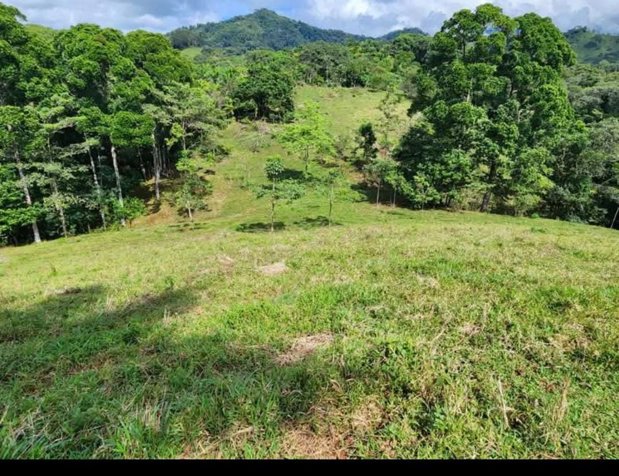 Se vende finca de 19 hectáreas en la bola, turrubares, Carara. en Carara, Turrubares, San José — ₡ 150 000 000 - Foto 3 de 11