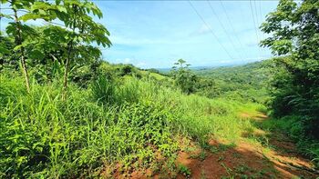 Finca a la venta 7.7 hectareas en San Mateo in San Mateo, Alajuela — $270,000 - Photo 4 of 6
