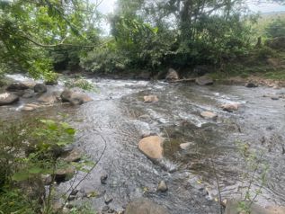 Finca en venta en Aguas Claras
