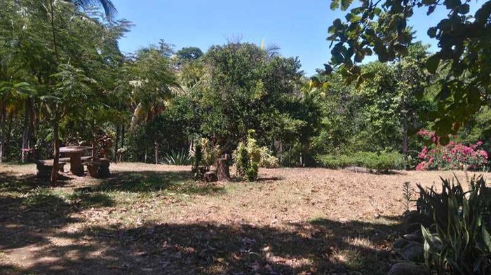 Quinta ideal para amantes de la naturaleza y caballos, cerca de playas en San Mateo, Alajuela — $550,000 - Foto 2 de 13