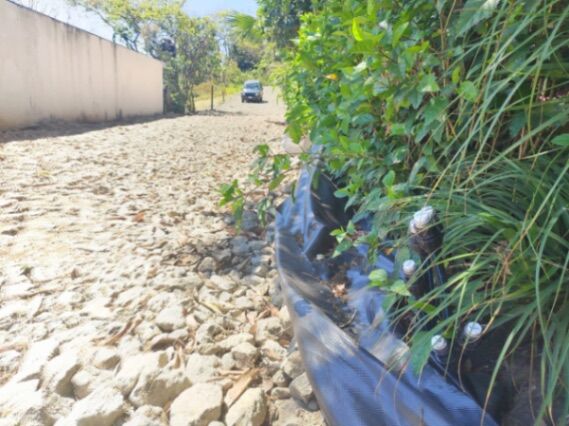 Lote en venta en Palmares de Alajuela – 296 m² listo para construir | ¢21.5 millones / $40.000 en La Granja, Palmares, Alajuela — ₡ 21 500 000