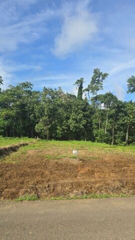 Lote con Río y Bosque en La Fortuna a 3km  en La Fortuna, San Carlos, Alajuela — ₡ 45 900 000