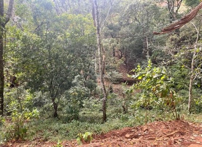 Finca ideal para urbanizar 10 minutos de Atenas Centro en Atenas, Alajuela — $3,942,240 - Foto 2 de 10