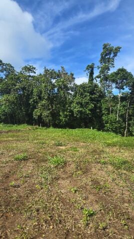 Lote con Río y Bosque en La Fortuna 766m2  en La Fortuna, San Carlos, Alajuela — ₡ 45 600 000