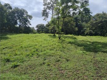 Lote en Venta Bagaces, Bagaces, Guanacaste