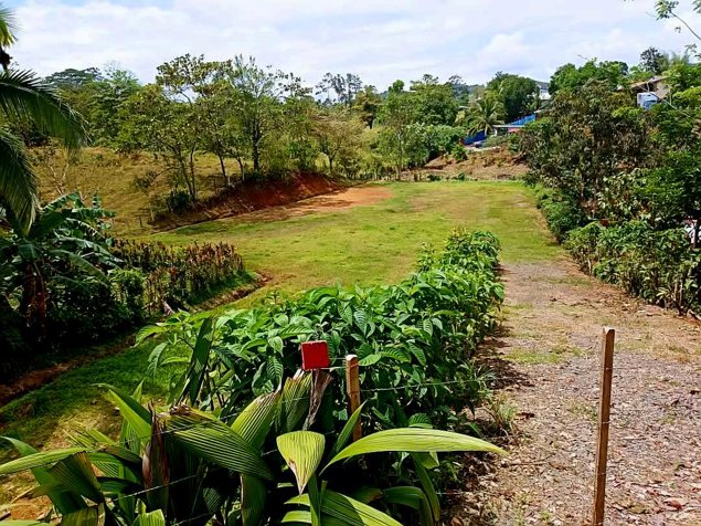 Amplio Lote en Venta en Puerto Viejo de Sarapiquí in Puerto Viejo, Sarapiquí, Heredia — ₡ 24 000 000