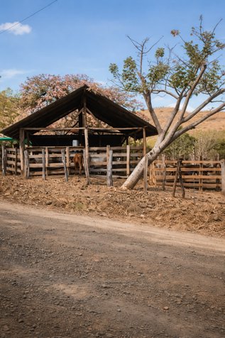 Finca en Venta de 170 Hectáreas con Río, Bosque y Uso Ganadero in Santa Cruz, Guanacaste — $1,135,000