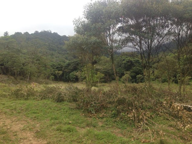 Finca de 28 ha, Valle de OROSI, Cartago en Orosi, Paraíso, Cartago — $850,000 - Foto 3 de 5