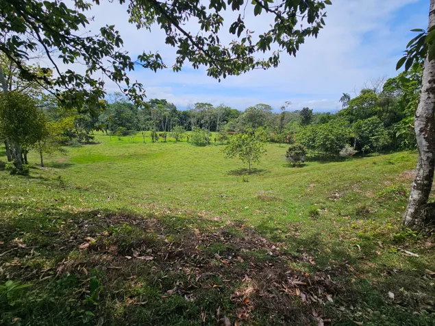 DE OPORTUNIDAD BELLA FINCA PRÓXIMA A LA FORTUNA DE SAN CARLOS. en Peñas Blancas, San Ramón, Alajuela — ₡ 200 000 000