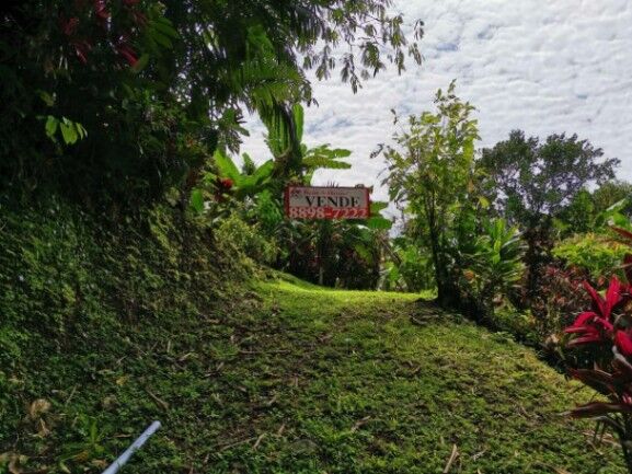MLS-22-804 VENTA LOTE OSA PUNTARENAS in Bahía Ballena, Osa, Puntarenas — $52,000