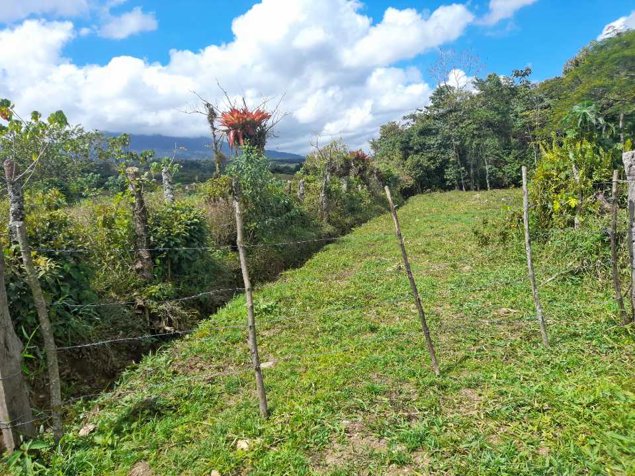 VENTA DE LOTE, LIMÓN, SIQUIRRES, LA ALEGRÍA in La Alegría, Siquirres, Limón — ₡ 70 000 000