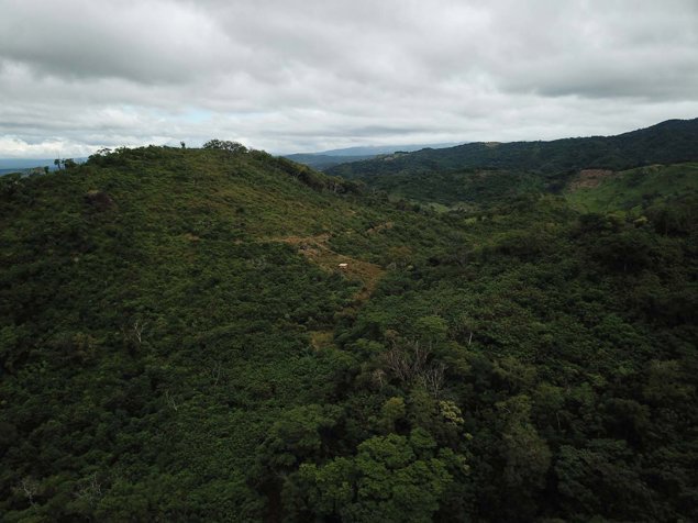 VENTA TERRENO (FINCA) DE USO AGRICOLA, GUANACASTE, CAÑAS en Cañas, Guanacaste — $2,900,000 - Foto 2 de 8