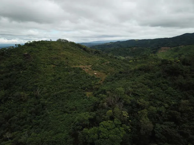 VENTA TERRENO (FINCA) DE USO AGRICOLA, GUANACASTE, CAÑAS en Cañas, Guanacaste — $2,900,000 - Foto 2 de 8