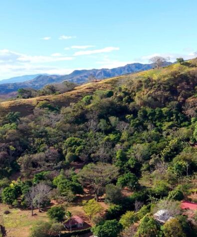 POTENCIAL FINCA EN JESÚS, BARROETA, ATENAS.  en Jesús, Atenas, Alajuela — ₡ 95 000 000