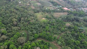 Venta / Lote de ensueño en San Carlos en La Tigra, San Carlos, Alajuela — 63 000 000 ₡ - Foto 4 de 13