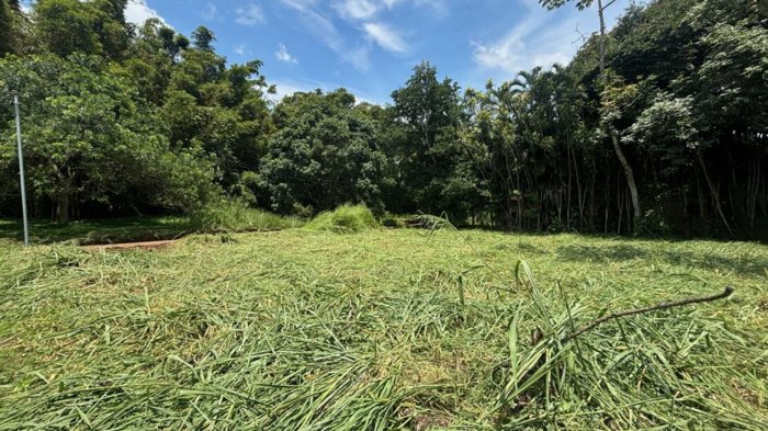 2 lotes se venden en el mismo residencial con porton comunal in Atenas, Alajuela — $90,000 - Photo 3 of 8