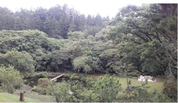 Finca de ensueño en las montañas de Santa Bárbara, Heredia 3,7 Acres