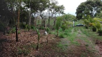 Venta de Lote en Montes de Oro, Puntarenas. RAH 26-249 en Miramar, Montes De Oro, Puntarenas — $76,000 - Foto 5 de 10
