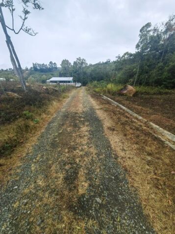"¡Oportunidad Única! Venta de Propiedad Exclusiva en San Marcos de Tarrazú. in San Marcos, Tarrazú, San José — ₡ 40 000 000
