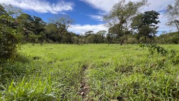 VENTA DE FINCA DE 10.9 HA FRENTE AL RIO EN VALLE DEL CHIRRIPO, SAN FRANCISCO DE RIVAS in Rivas, Pérez Zeledón, San José — $1,450,000 - Photo 5 of 7