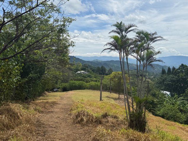 Lote de 12.297 m² en el clima más fresco del Barrio Jesús de Atenas. in Atenas, Alajuela — $185,000 - Photo 3 of 19