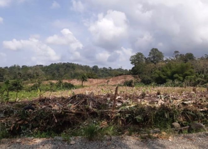 VENTA DE FINCA, LIMÓN, MOIN, LOMA LINDA en Guápiles, Pococí, Limón — $500,000