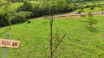 BEAUTIFUL LOT FOR SALE IN THE HEART OF RISE COSTA RICA WITH CREEK (63,475 SQFT) in Cajón, Pérez Zeledón, San José — $230,000 - Photo 5 of 14