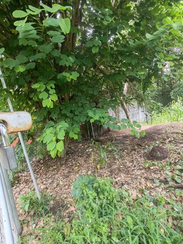 ESCAZU venta terreno Excelente ubicacion y vistas in San Rafael, Escazú, San José — $520,000