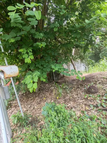 ESCAZU venta terreno Excelente ubicacion y vistas en San Rafael, Escazú, San José — $520,000