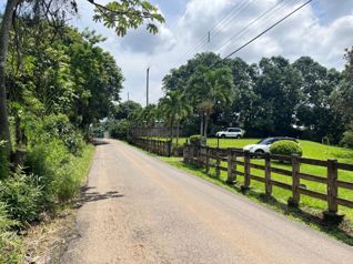 8,710 m² lot with residential and commercial land use in Mercedes, Atenas, Alajuela - Photo 2 of 3