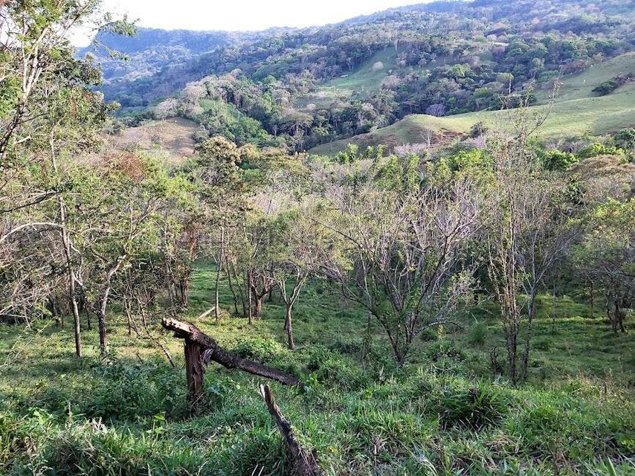 Venta de Lote en Desamparaditos de Puriscal. RAH 27-397 in Desamparaditos, Puriscal, San José — $485,850