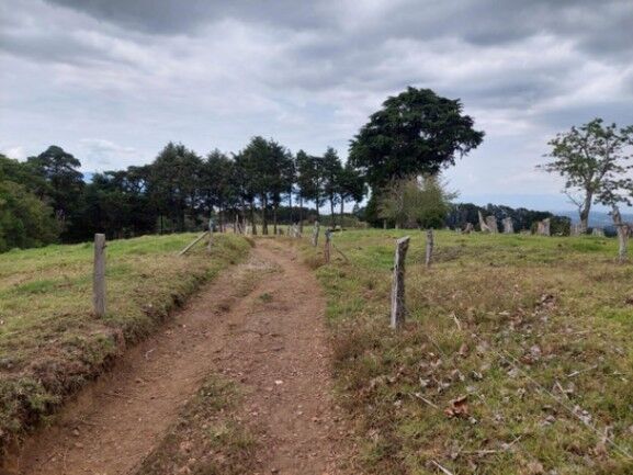 Se vende amplia finca de 28 hectáreas en San José de la Montaña 23-2563 in San José de La Montaña, Barva, Heredia — $4,296,315
