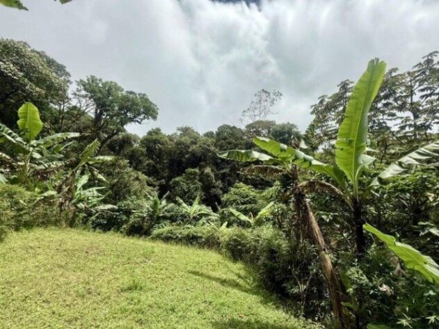Se vende lote de 8,800m2 en Varablanca de Heredia 26-384 in Vara Blanca, Heredia — $445,000