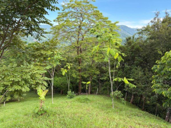 Quinta en venta en San Ramón con vistas a la montaña y naturaleza privada #26-2222 GS en Piedades Sur, San Ramón, Alajuela — $225,000
