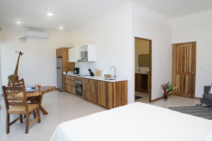 Apartamento tipo estudio en alquler Playa Potrero, Guanacaste en Santa Cruz, Guanacaste — $1,300 - Foto 2 de 6