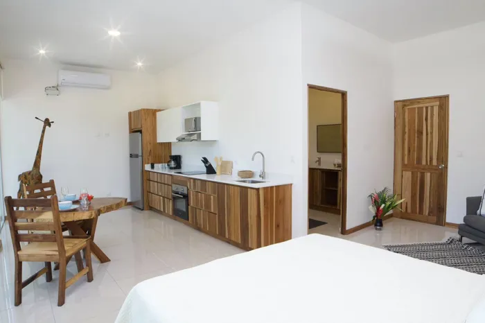 Apartamento tipo estudio en alquler Playa Potrero, Guanacaste en Santa Cruz, Guanacaste — $1,300 - Foto 2 de 6
