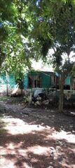 Se vende propiedad CON granja Avícola  en Laurel, Corredores, Puntarenas — 65 000 000 ₡ - Foto 5 de 14