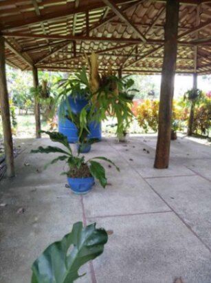 Se vende amplia quinta de 1 hectárea en Orotina Alajuela 25-69 in Orotina, Alajuela — $1,655,000