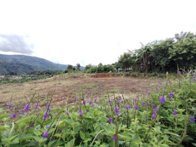 Lotes en Dota, Zona de Los Santos in Santa María, Dota, San José — ₡ 35 490 000