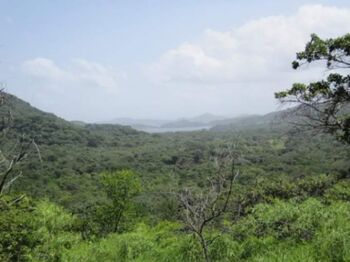 Finca en Venta Santa Elena, La Cruz, Guanacaste