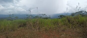 1 hectárea con vistas panorámicas en Sabanillas de Limoncito, Coto Brus, Puntarenas, Costa Rica. in Limoncito, Coto Brus, Puntarenas — 21 000 000 ₡ - Photo 4 of 23