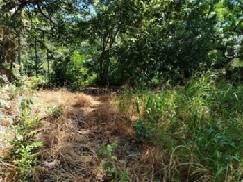Venta de Lote en Piedades de Santa Ana. RAH 27-69 INVERSIÓN in Piedades, Santa Ana, San José — 60 000 000 ₡ - Photo 5 of 10