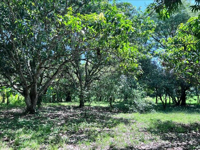 Finca Orotina Santa Rita en Coyolar, Orotina, Alajuela — ₡ 33 000 000