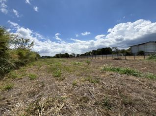 VENTA TERRENO 5618 M2, TOPOGRAFÍA PLANA, BELÉN, HEREDIA en La Ribera, Belén, Heredia — $1,150,000 - Foto 4 de 4